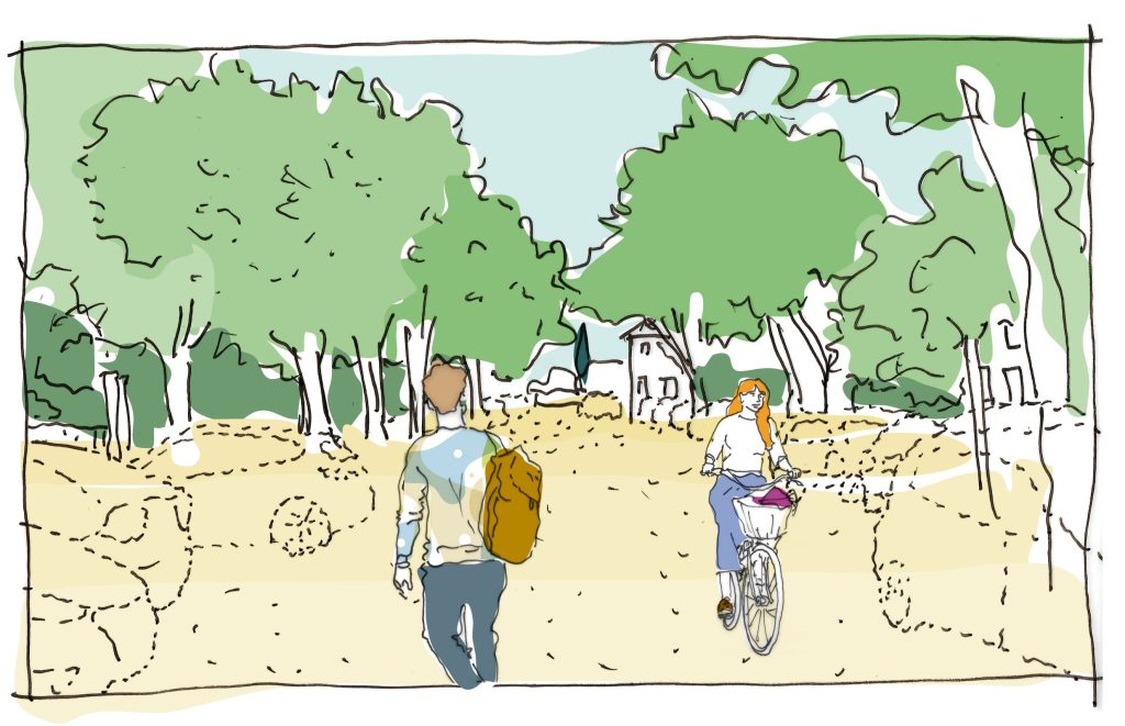 cours sous les platanes